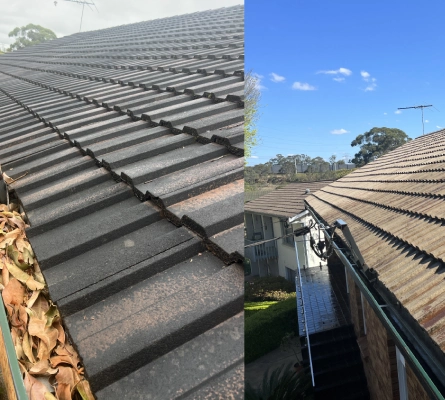 Pressure Roof Cleaning